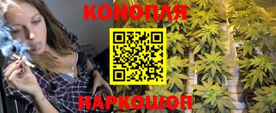 a pvp Апшеронск