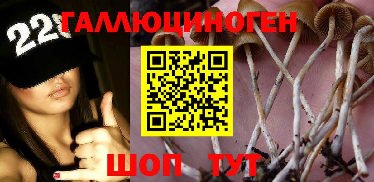 Галлюциногенные грибы мицелий  Вход с VPN  Братск 